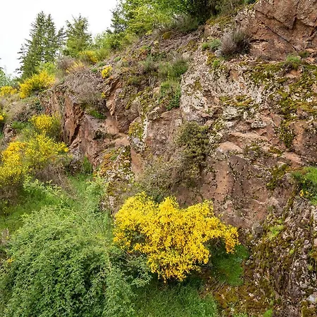 Moulin Des Comtes - Les Rochers 3*