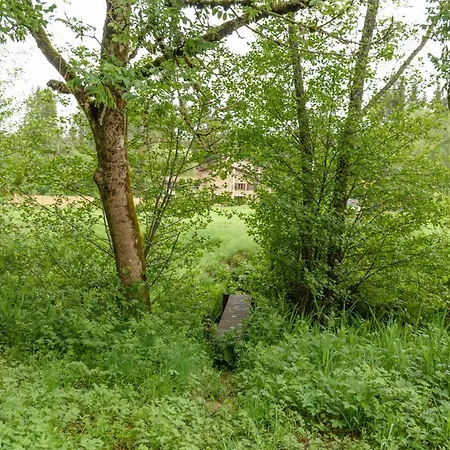 Moulin Des Comtes - Les Rochers Bed & Breakfast 3*