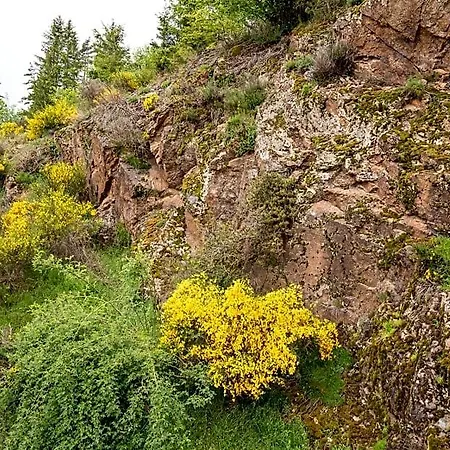 Moulin Des Comtes - Les Rochers Nocleg ze śniadaniem Viverols