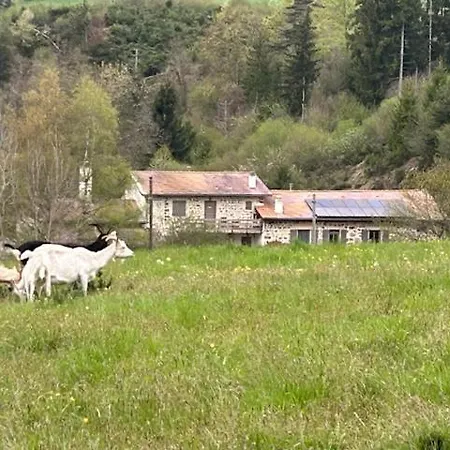 Moulin Des Comtes - Les Rochers 3*