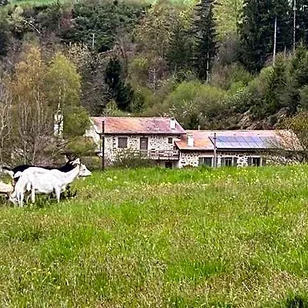 Nocleg ze śniadaniem Moulin Des Comtes - Les Rochers 3*